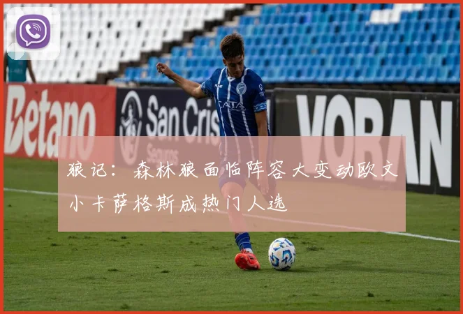 狼记：森林狼面临阵容大变动欧文小卡萨格斯成热门人选