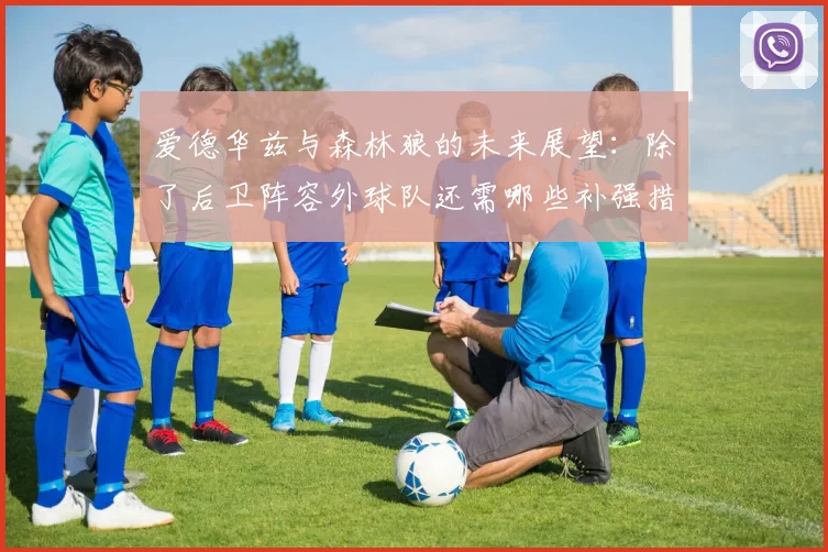 爱德华兹与森林狼的未来展望：除了后卫阵容外球队还需哪些补强措施